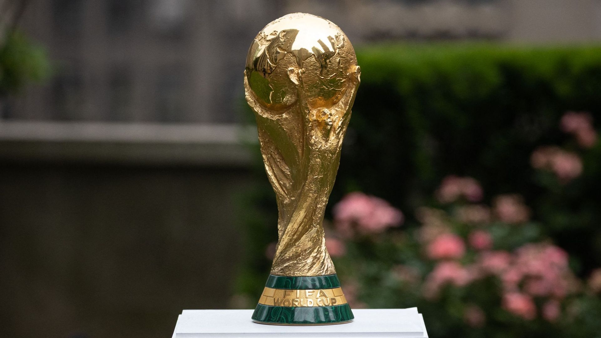 coupe du monde